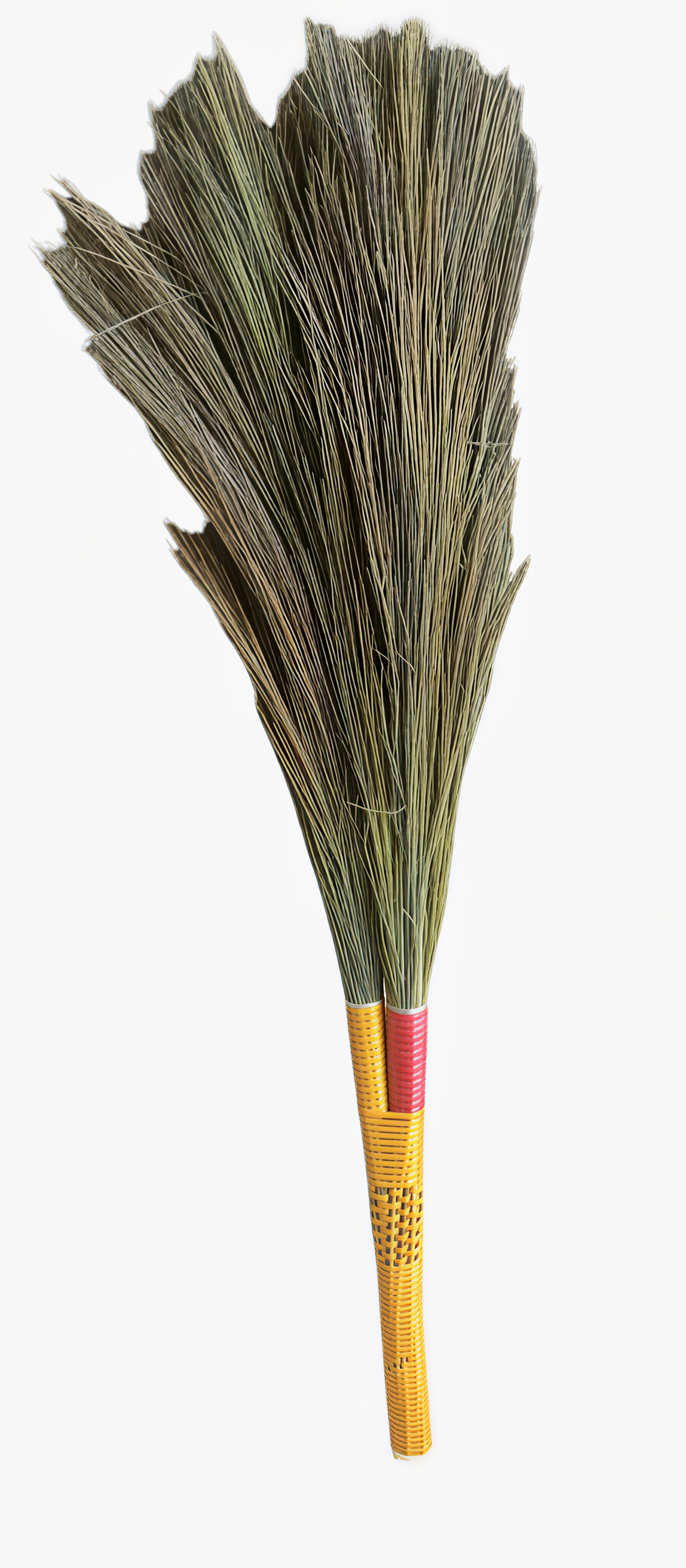 Fine Bristle
