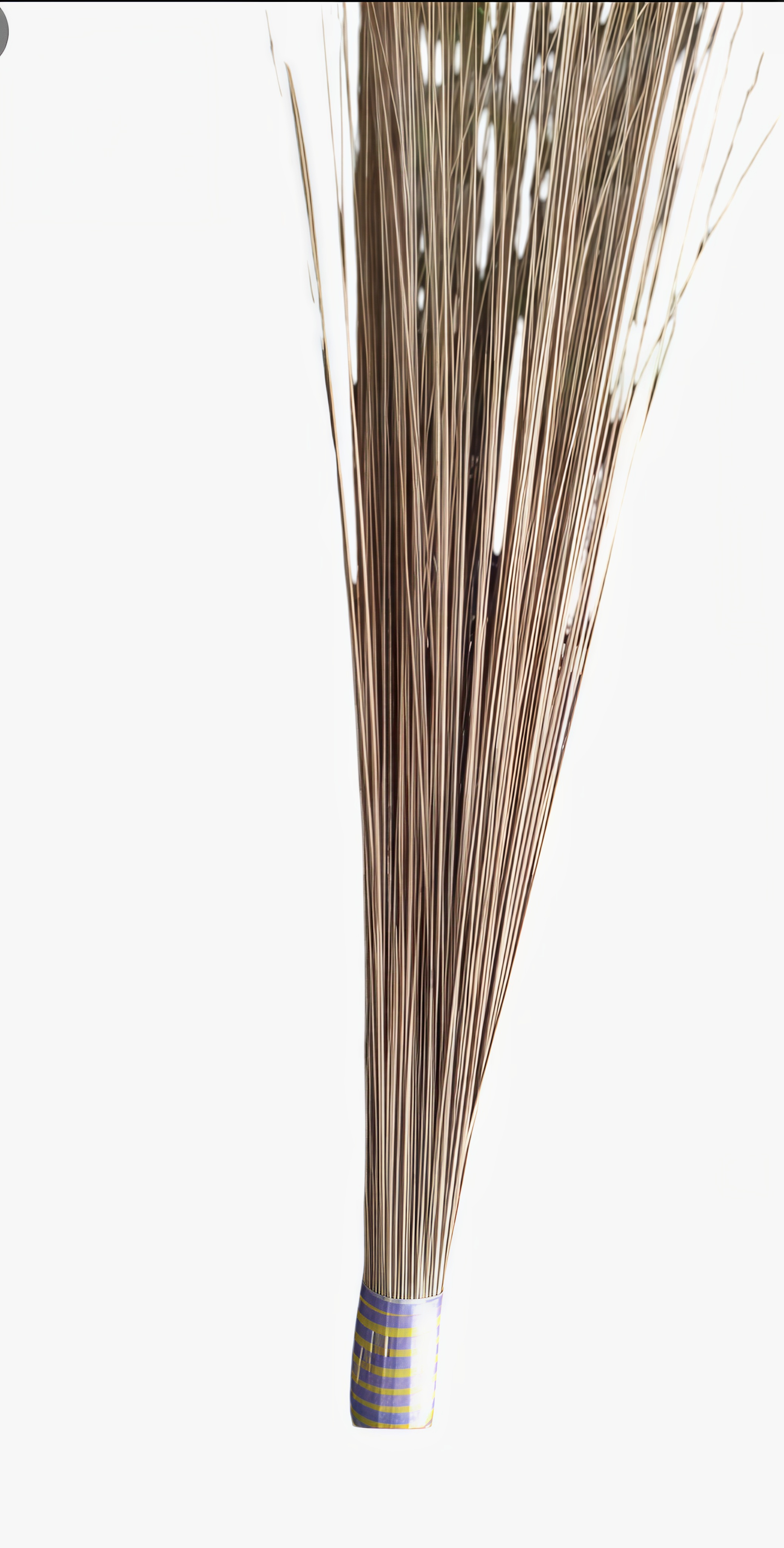 Traditional Broom